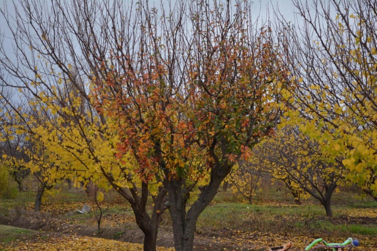 Finca La Celestita Colonia Alvear Exteriér fotografie