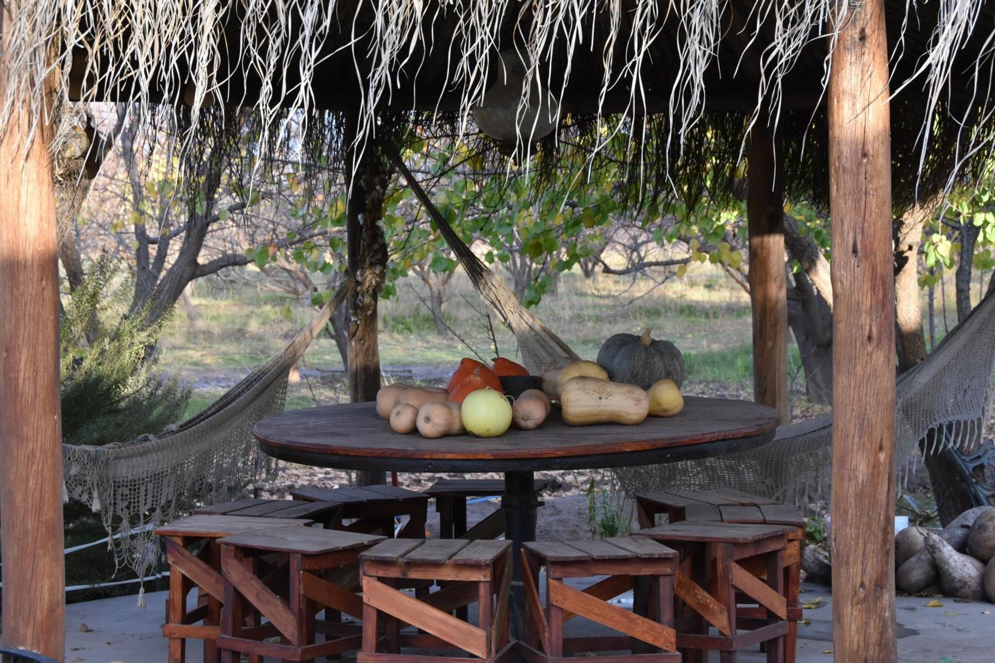 Finca La Celestita Colonia Alvear Exteriér fotografie